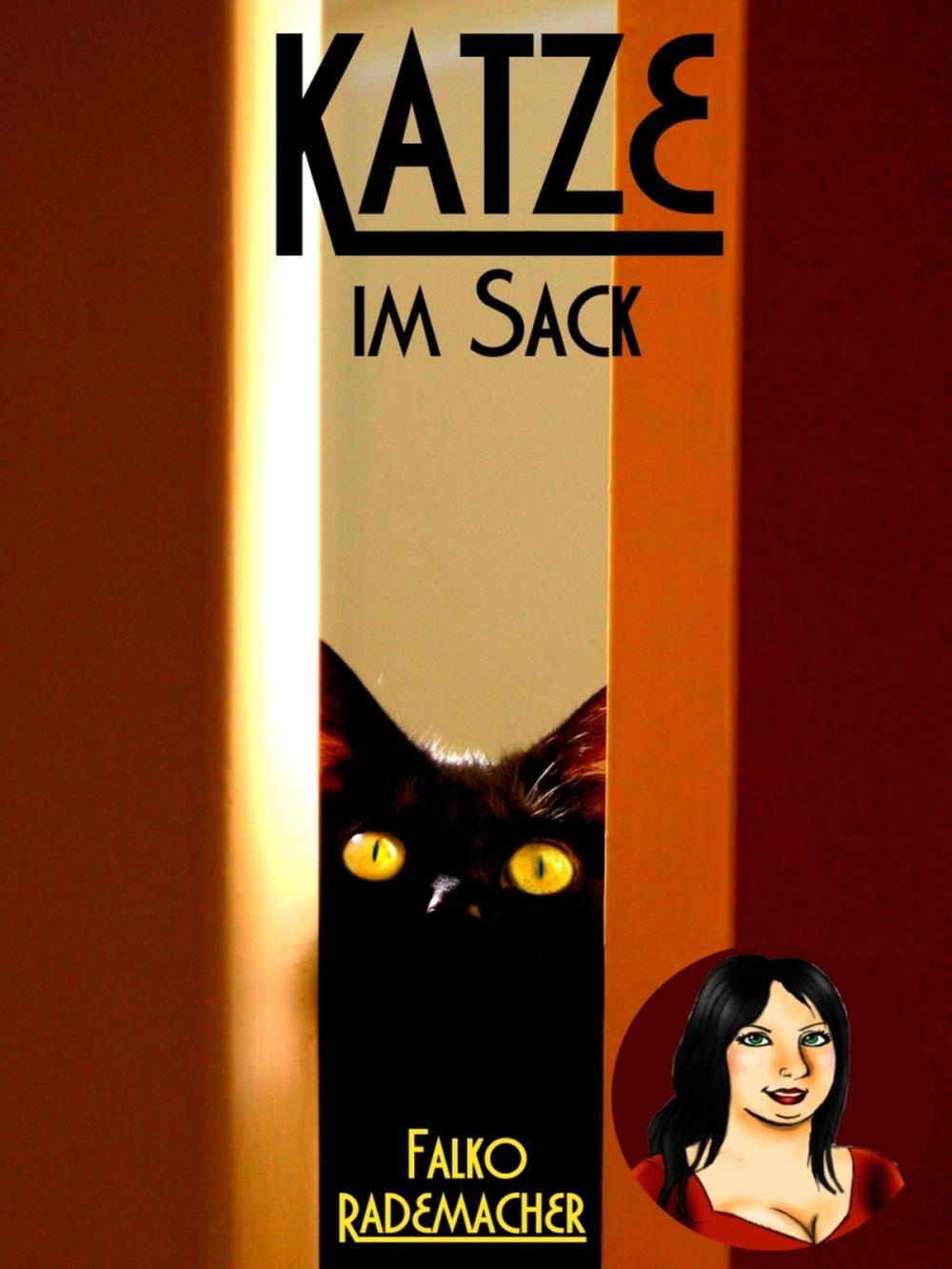 Big bigCover of Katze im Sack