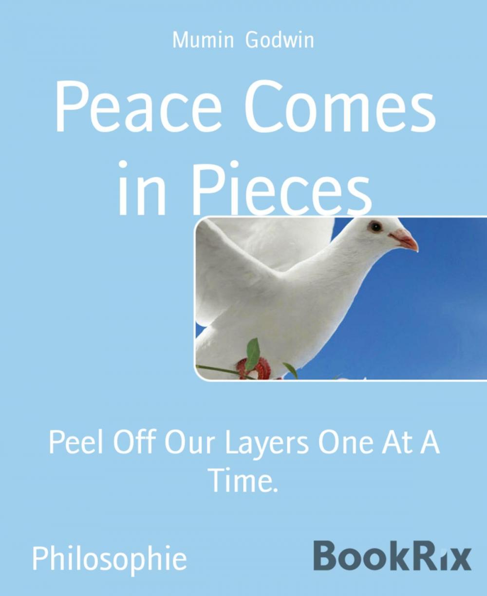 Big bigCover of Peace Comes in Pieces