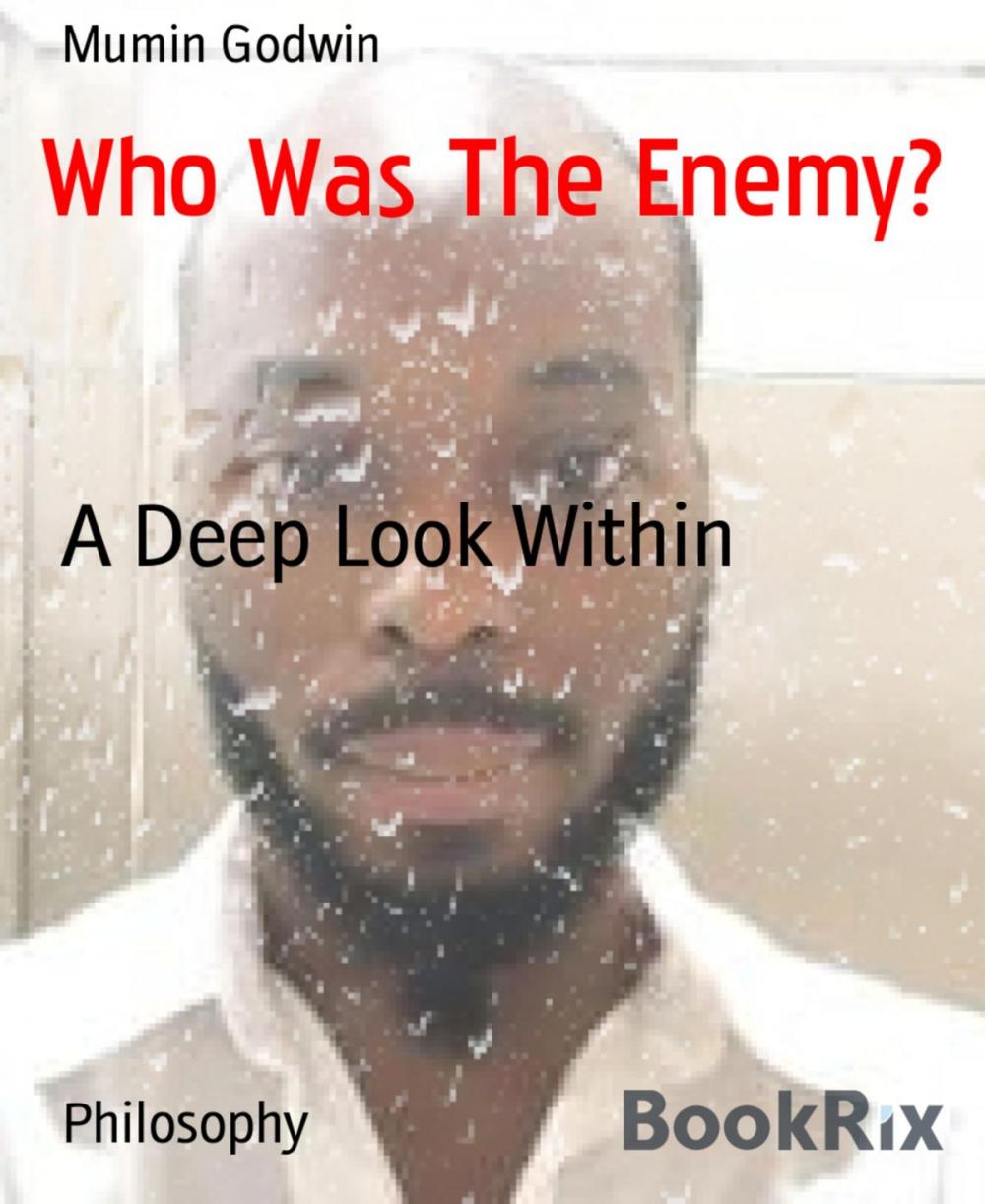 Big bigCover of Who Was The Enemy?