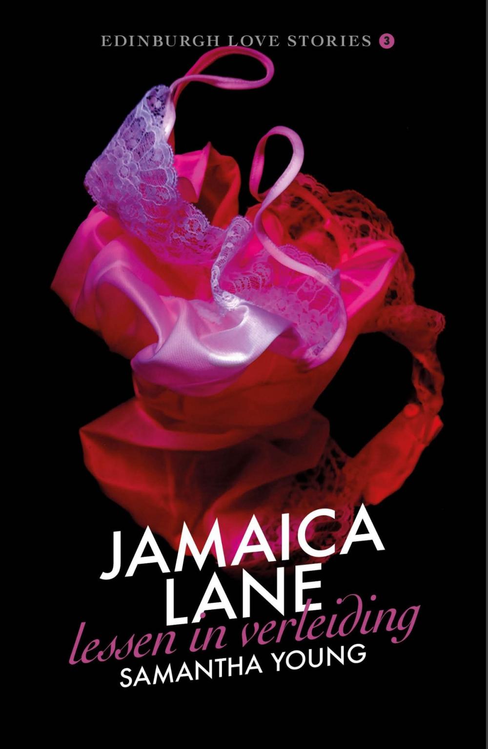 Big bigCover of Jamaica Lane - Lessen in verleiding