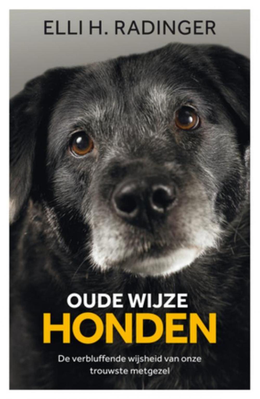 Big bigCover of Oude wijze honden