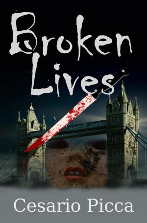 Cover of the book Broken Lives by Riccardo Maffey