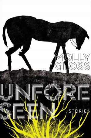 Cover of the book The Unforeseen by Luiz Antonio Simas