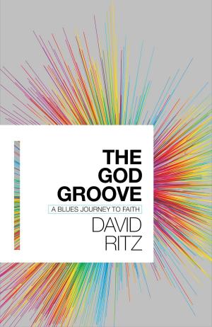 Cover of the book The God Groove by Christopher Goulart