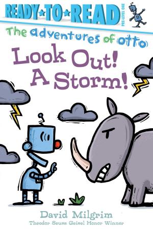 Cover of the book Look Out! A Storm! by A. E. Dingee