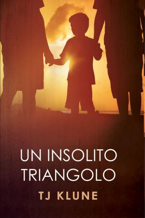 Book cover of Un insolito triangolo