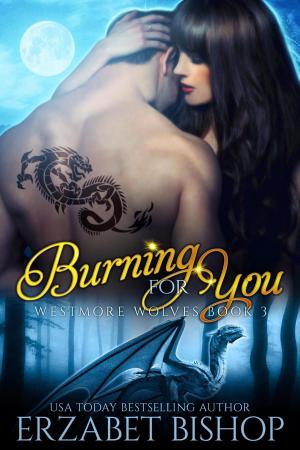 Cover of the book Burning For You by Patricia Case