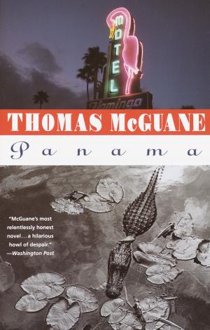 Cover of the book Panama by Chimamanda Ngozi Adichie