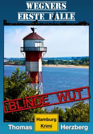 Book cover of Blinde Wut (Wegners erste Fälle)
