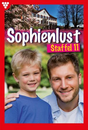 Cover of the book Sophienlust Staffel 11 – Familienroman by Marlie Jax