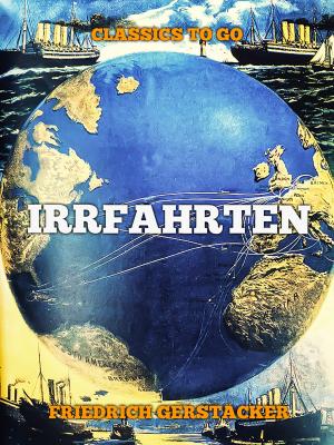 Cover of the book Irrfahrten by Edgar Allan Poe