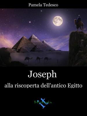Book cover of Joseph alla riscoperta dell'antico Egitto