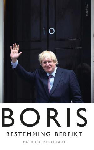 Cover of the book Boris by Kate Williams