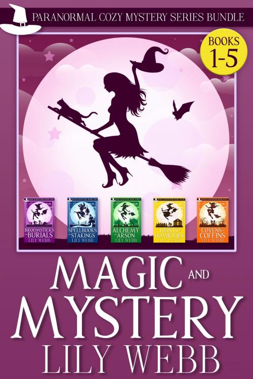 Cover of the book Magic and Mystery by Lily Webb, Lily Webb
