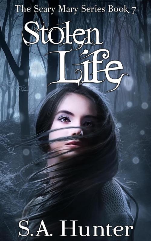 Cover of the book Stolen Life by S.A. Hunter, S.A. Hunter
