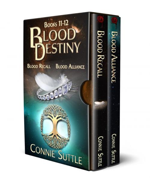 Cover of the book Blood Destiny II by Connie Suttle, SubtleDemon Publishing, LLC