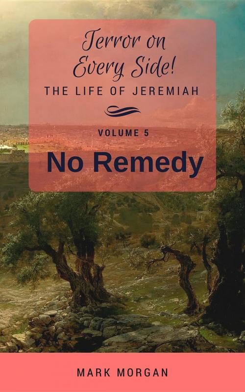 Cover of the book No Remedy by Mark Timothy Morgan, WaterSums
