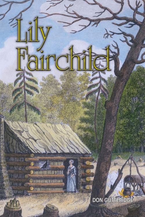 Cover of the book Lily Fairchild by Don Gutteridge, Tablo Publishing