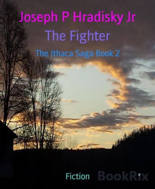 Cover of the book The Fighter by Joseph P Hradisky Jr, BookRix