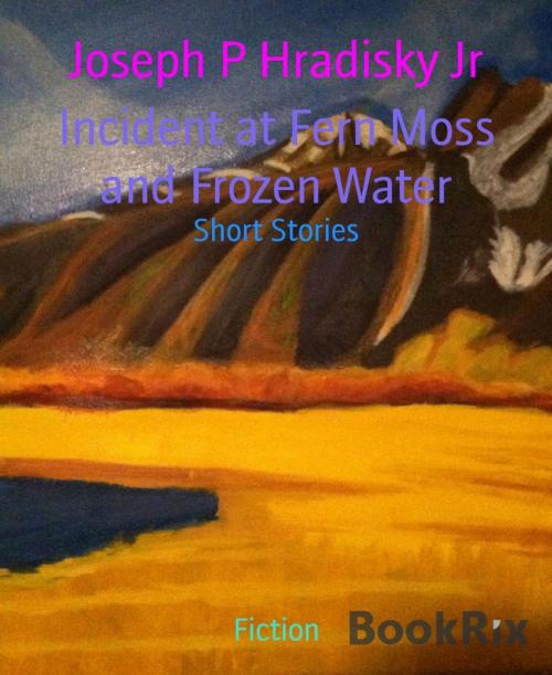 Cover of the book Incident at Fern Moss and Frozen Water by Joseph P Hradisky Jr, BookRix