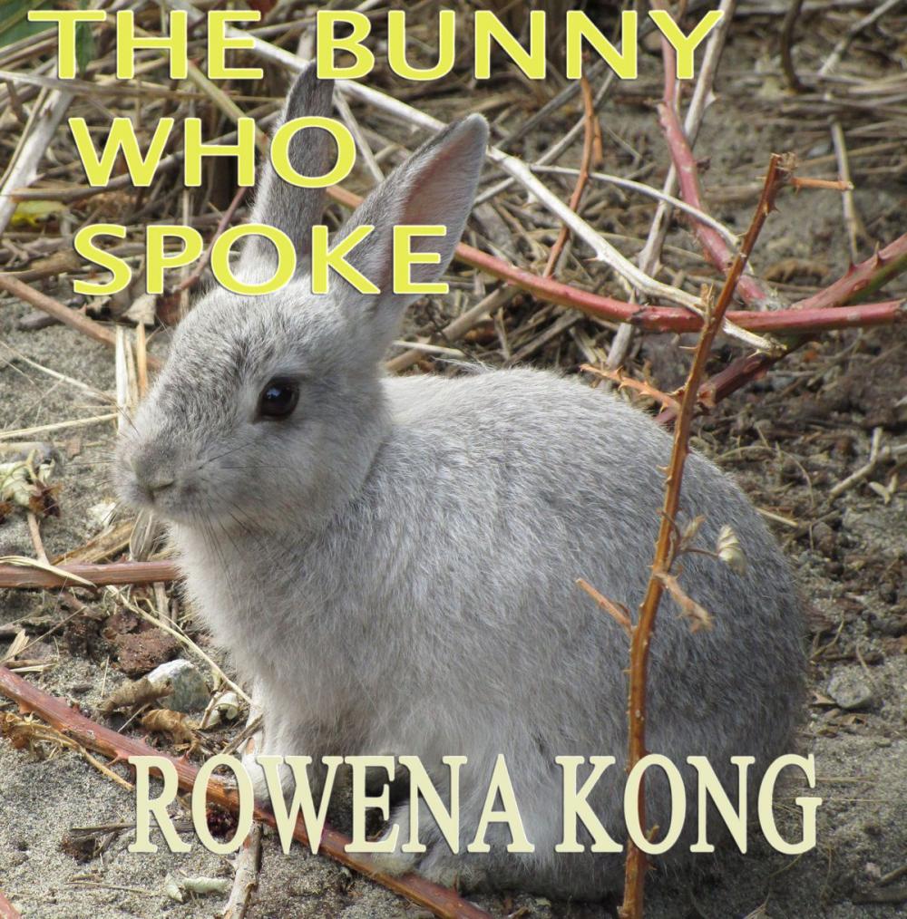 Big bigCover of The Bunny Who Spoke