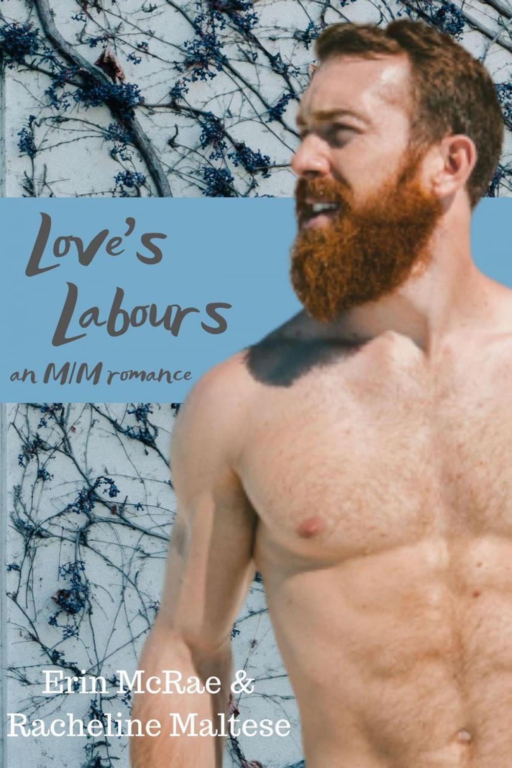 Big bigCover of Love's Labours Box Set: Books 1 & 2