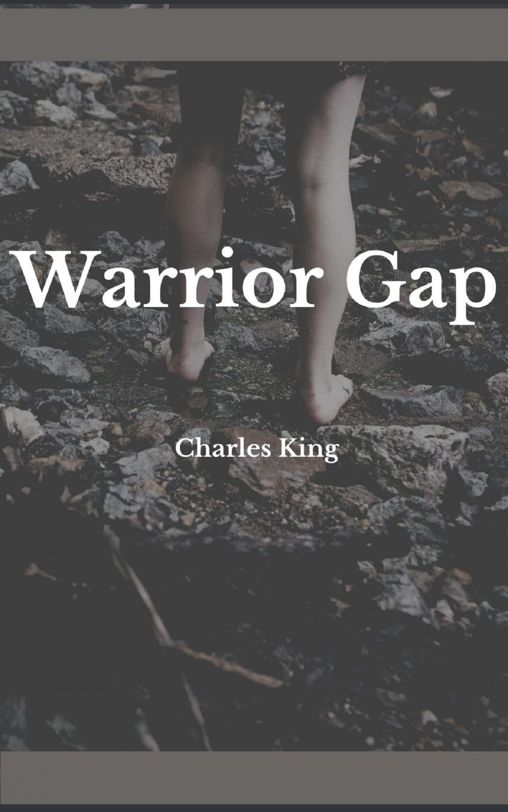 Big bigCover of Warrior Gap