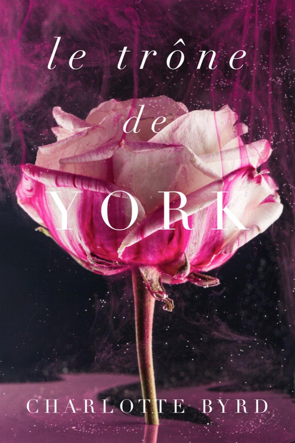 Big bigCover of Le trône de York