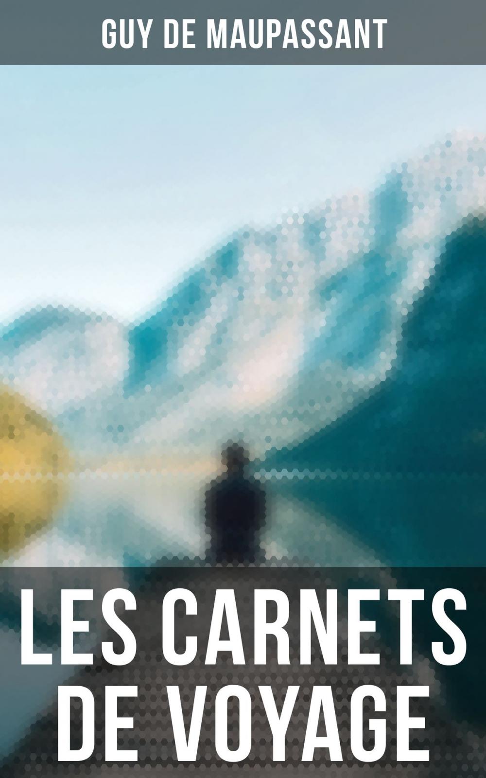 Big bigCover of Les carnets de voyage