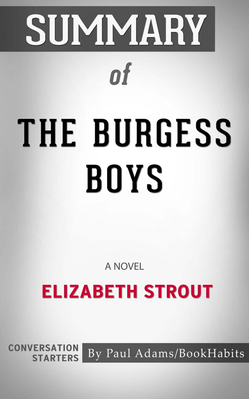 Big bigCover of Summary of The Burgess Boys