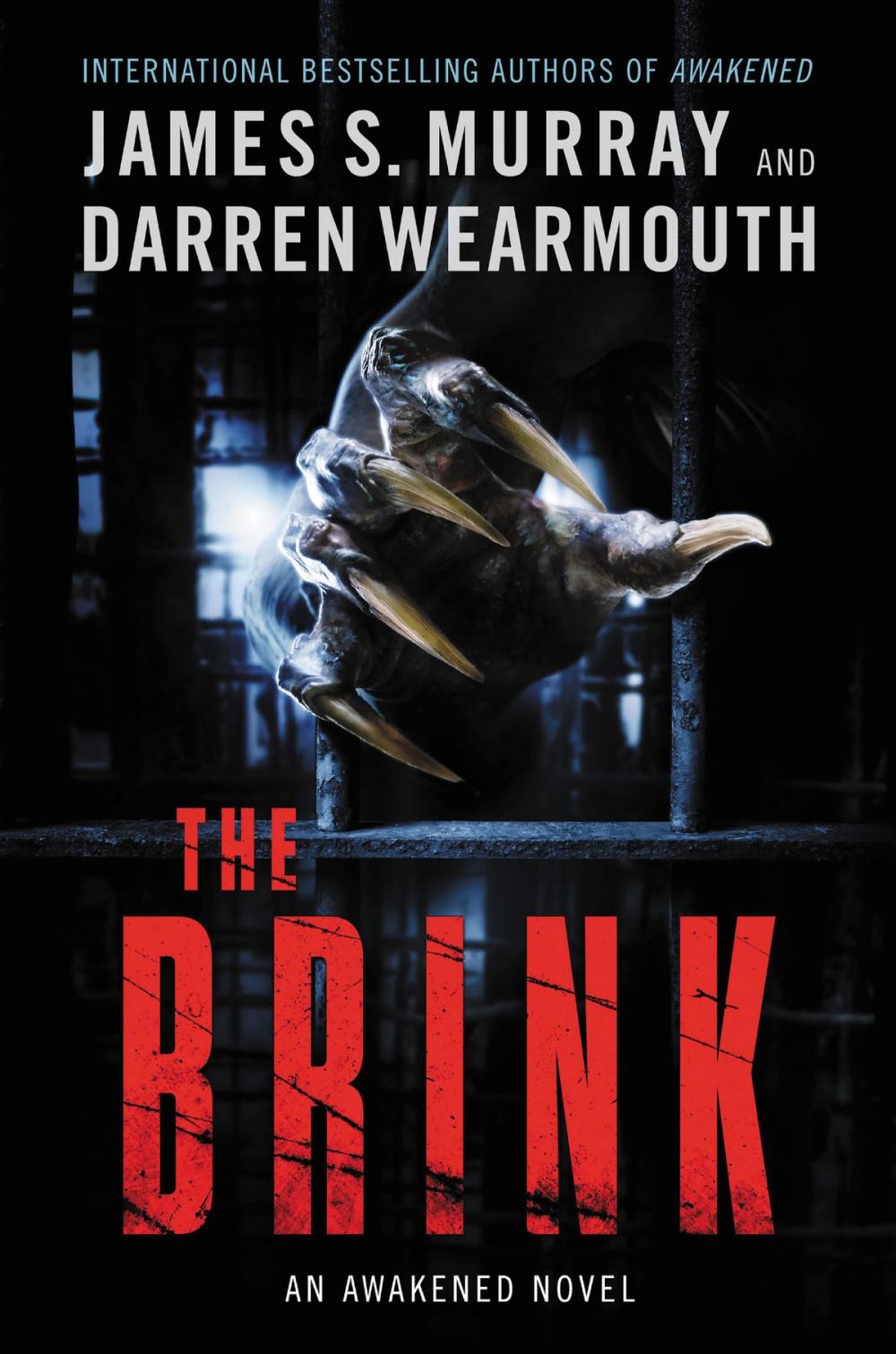 Big bigCover of The Brink