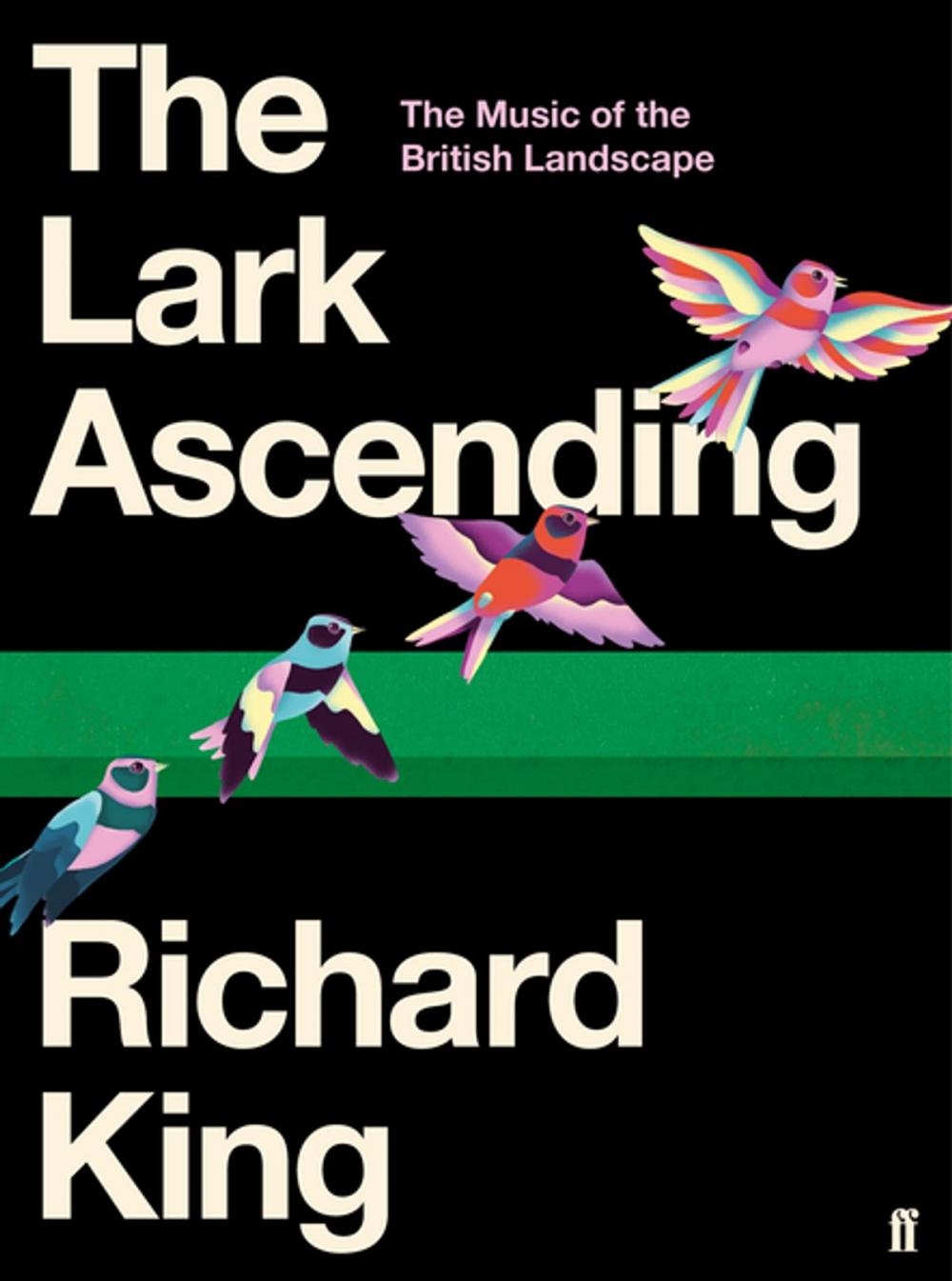 Big bigCover of The Lark Ascending