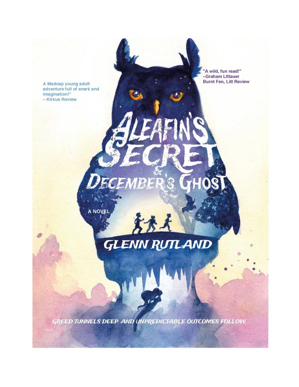 Big bigCover of Aleafin's Secret and December's Ghost