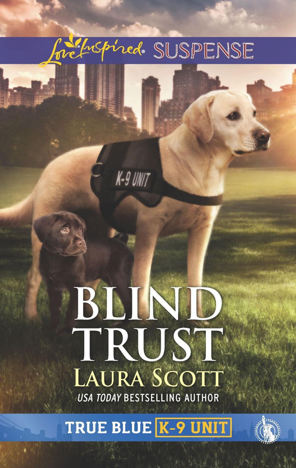 Big bigCover of Blind Trust