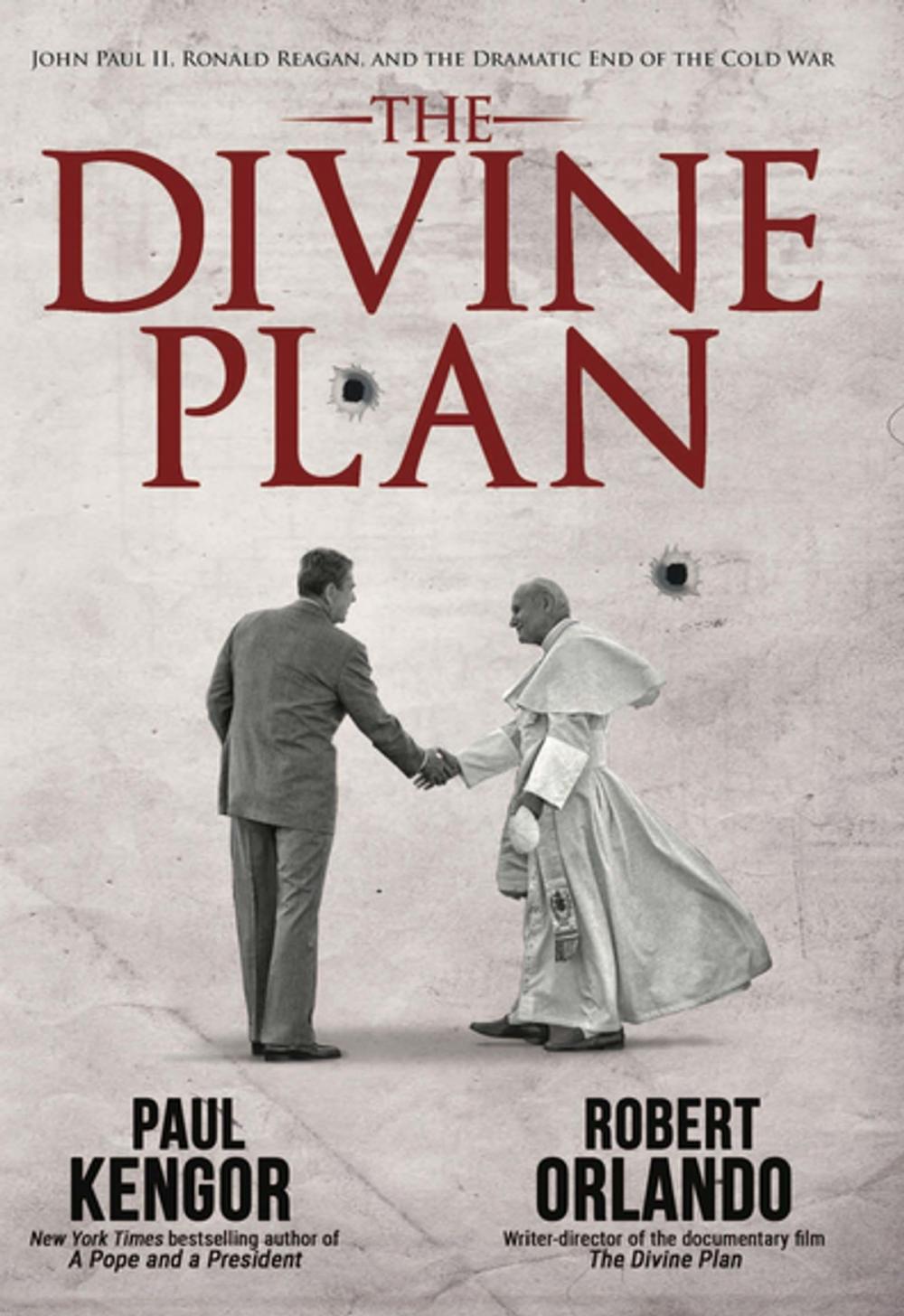 Big bigCover of The Divine Plan