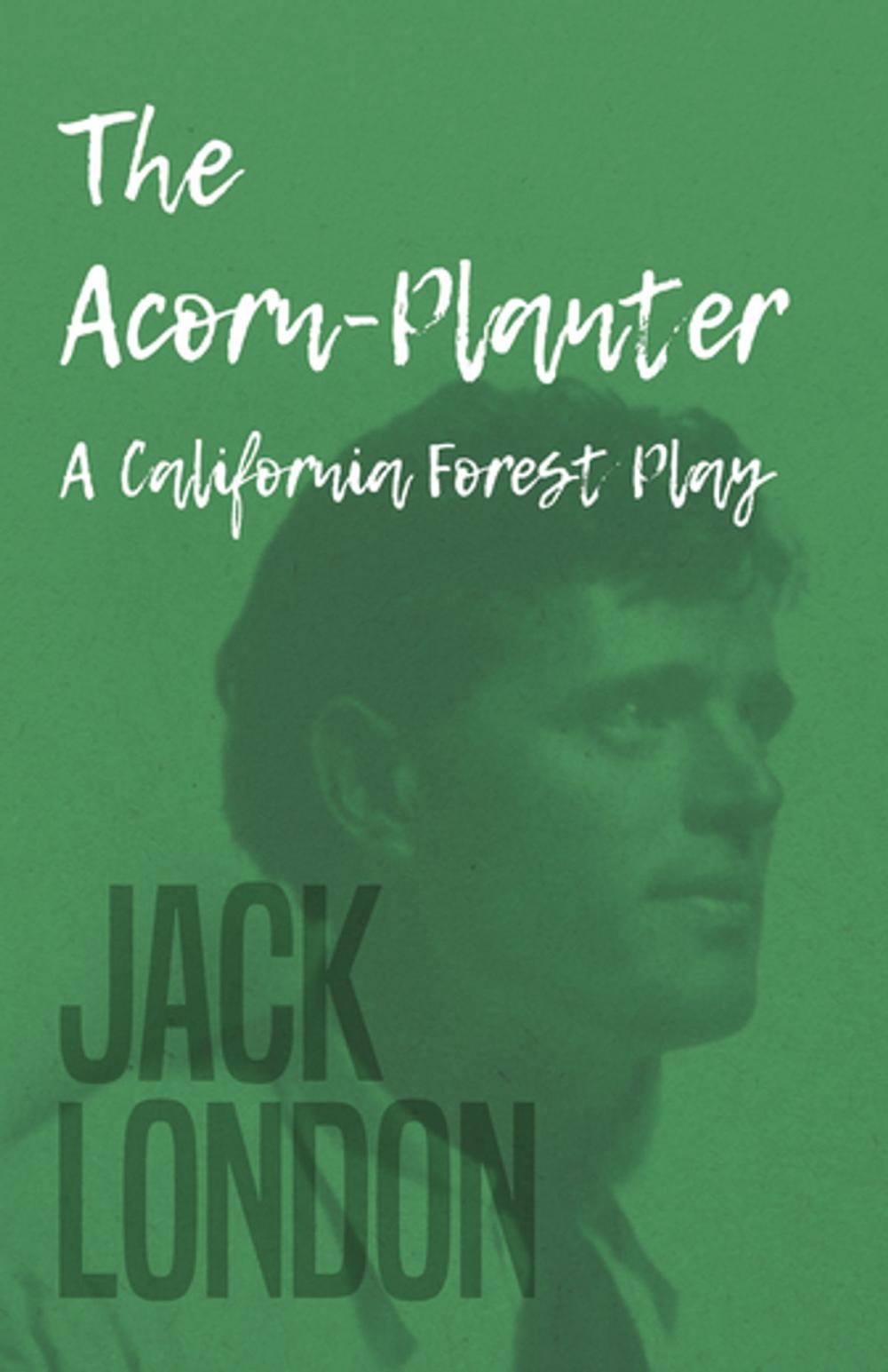 Big bigCover of The Acorn-Planter - A California Forest Play