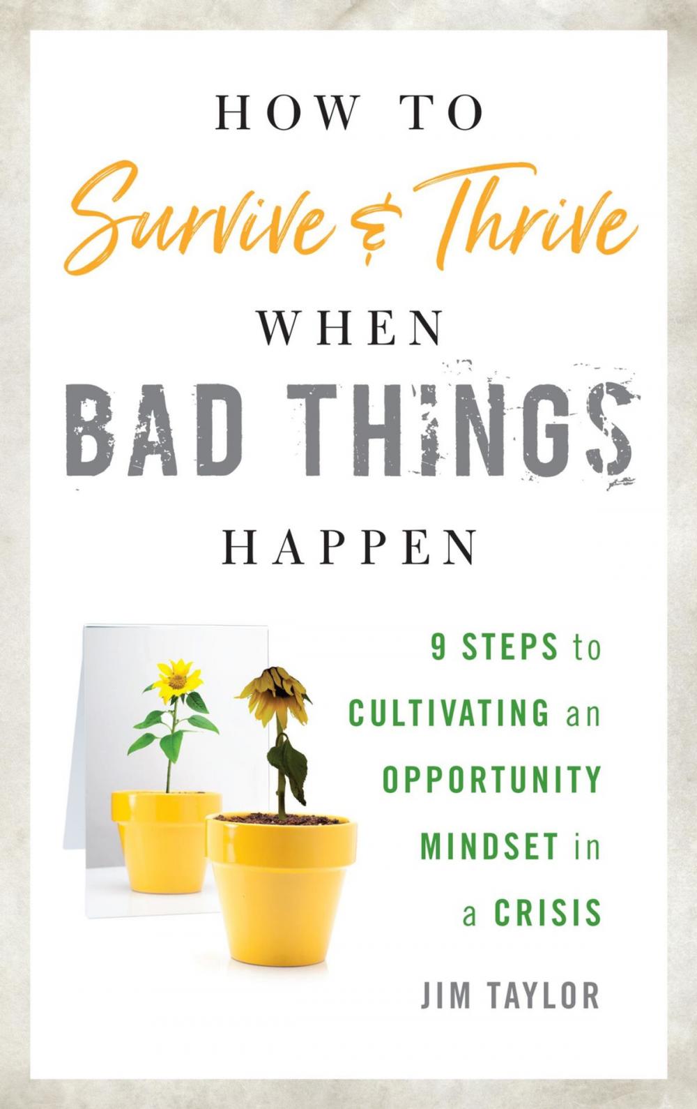 Big bigCover of How to Survive and Thrive When Bad Things Happen