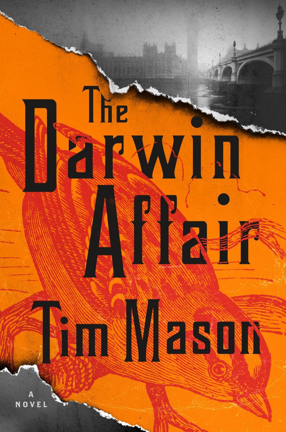 Big bigCover of The Darwin Affair