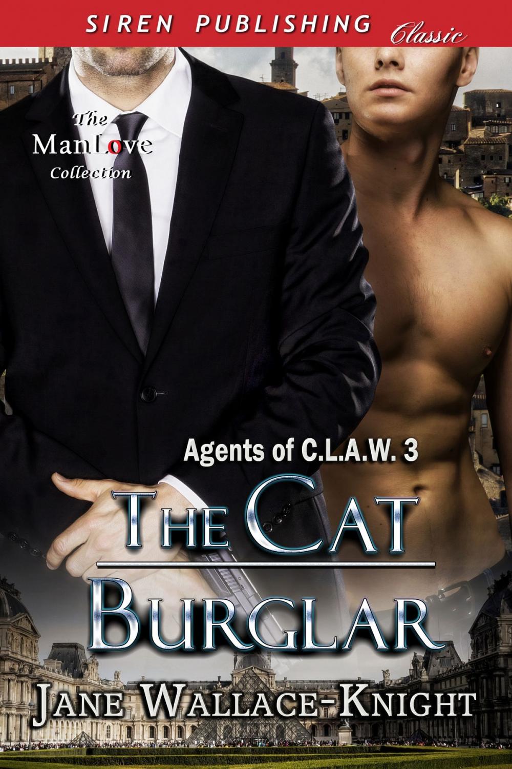 Big bigCover of The Cat Burglar