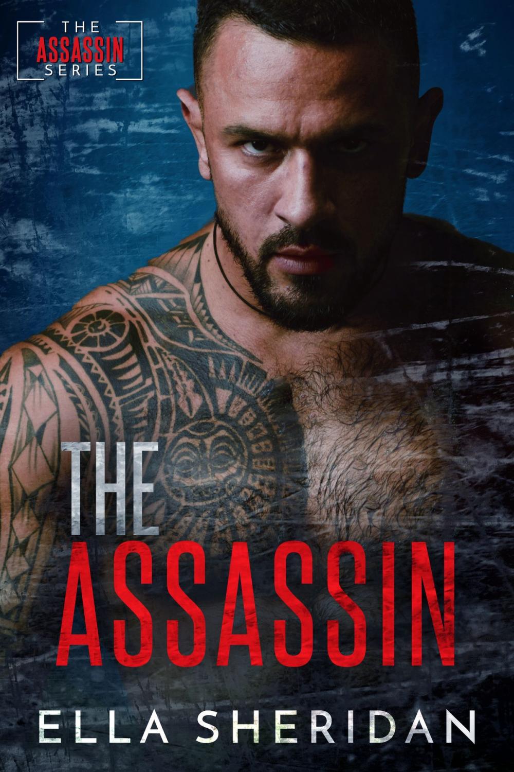 Big bigCover of The Assassin