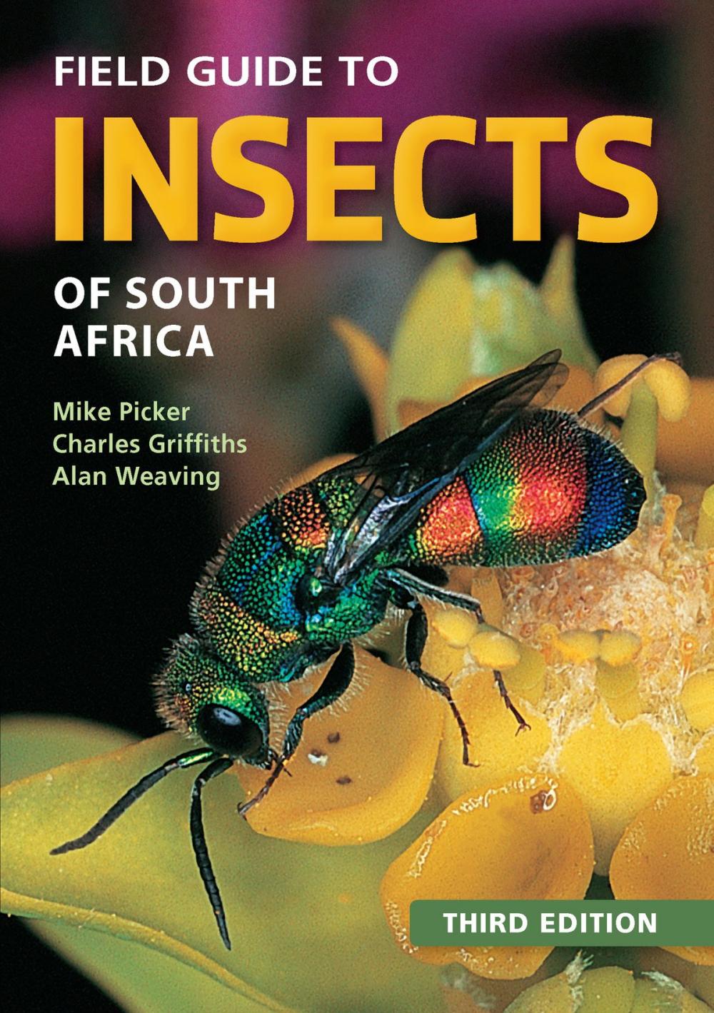 Big bigCover of Field Guide to Insects of South Africa