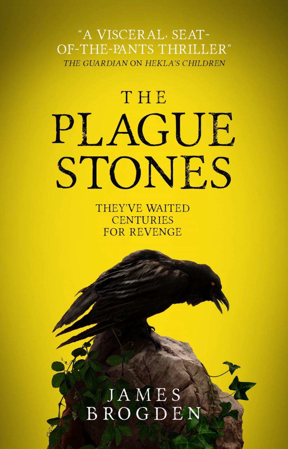 Big bigCover of The Plague Stones