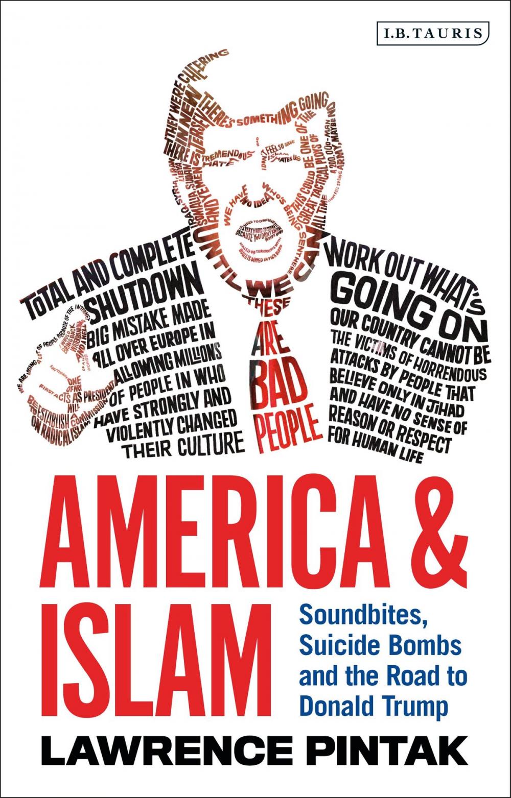 Big bigCover of America & Islam