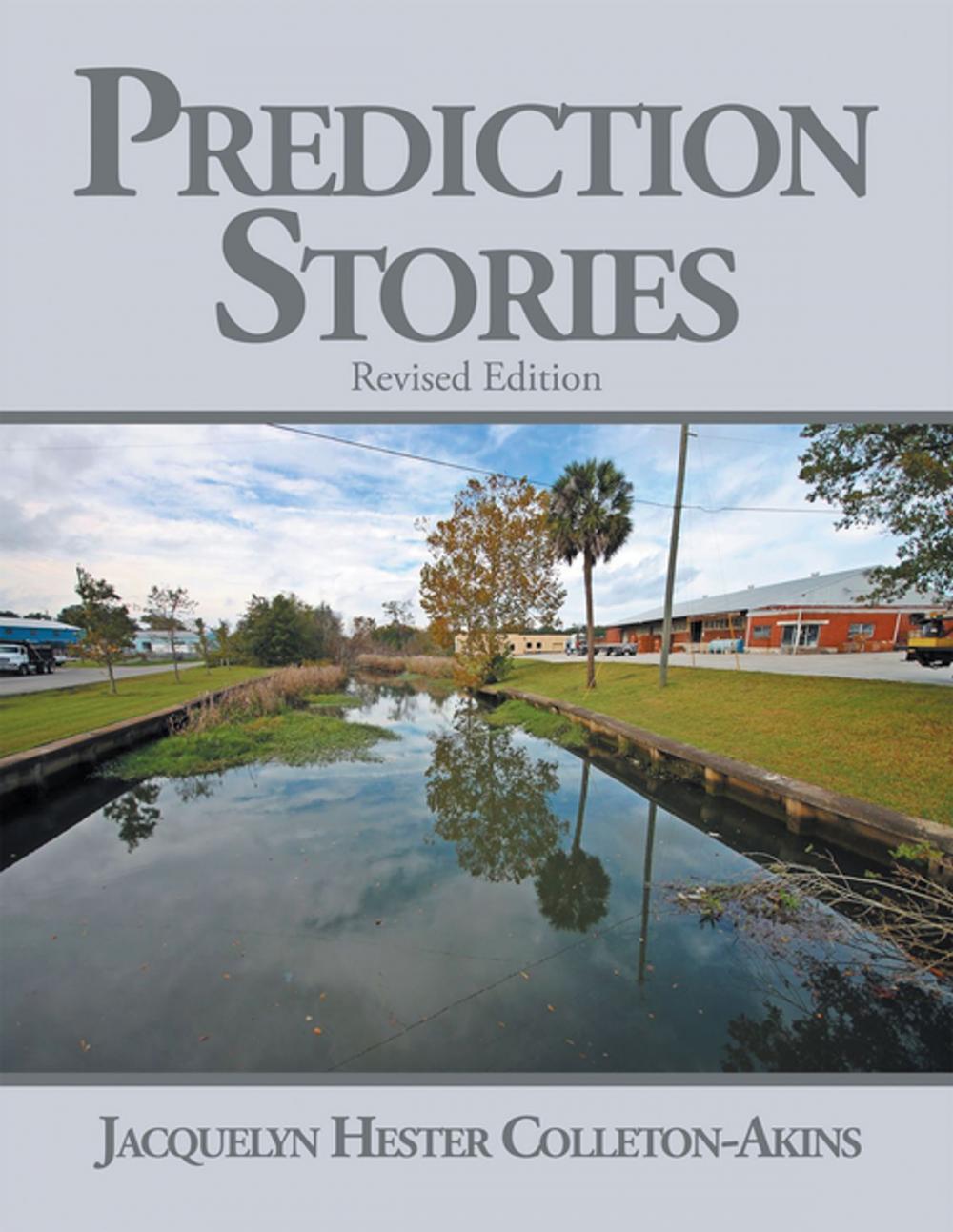 Big bigCover of Prediction Stories