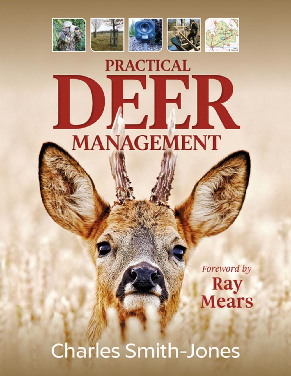 Big bigCover of Practical Deer Management