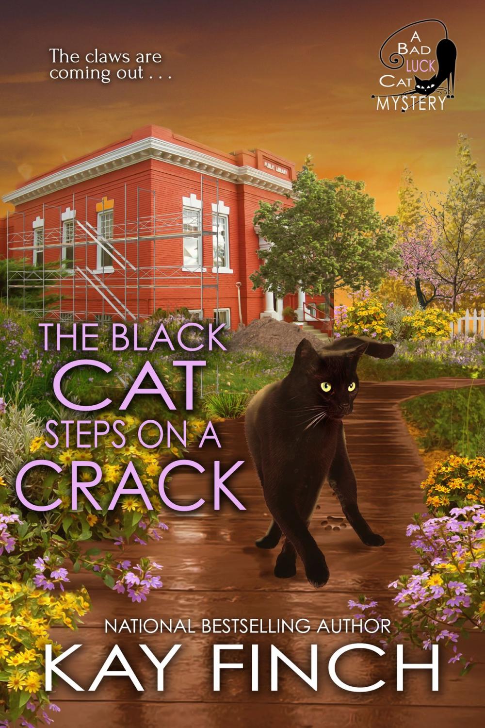 Big bigCover of The Black Cat Steps on a Crack