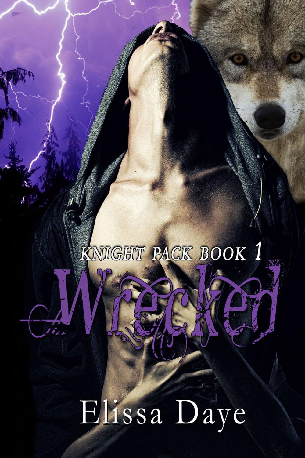 Big bigCover of Wrecked