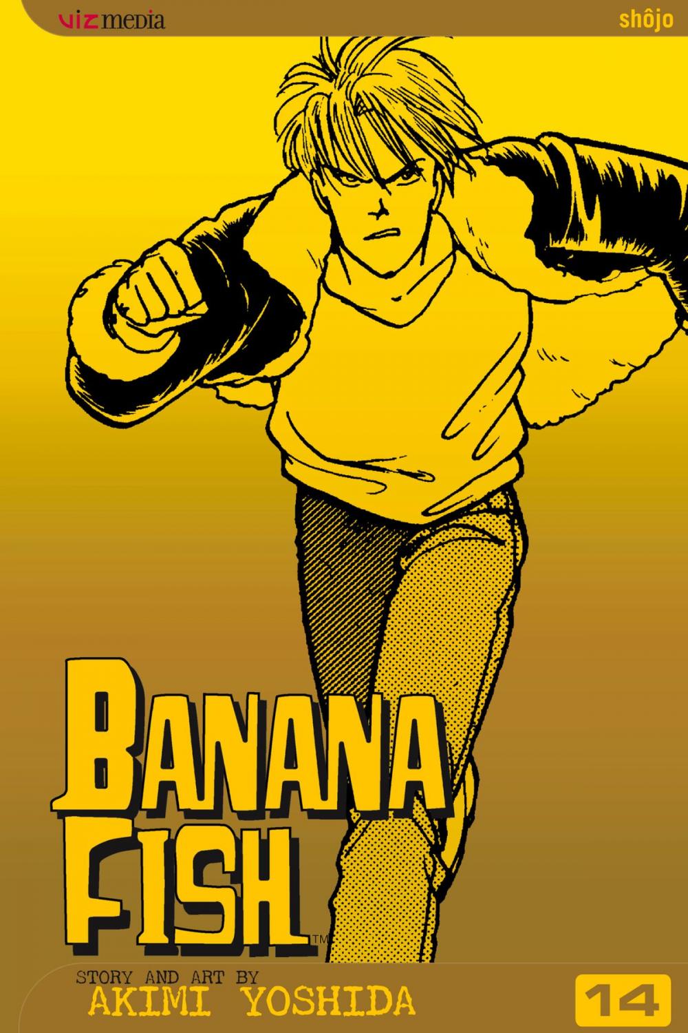 Big bigCover of Banana Fish, Vol. 14