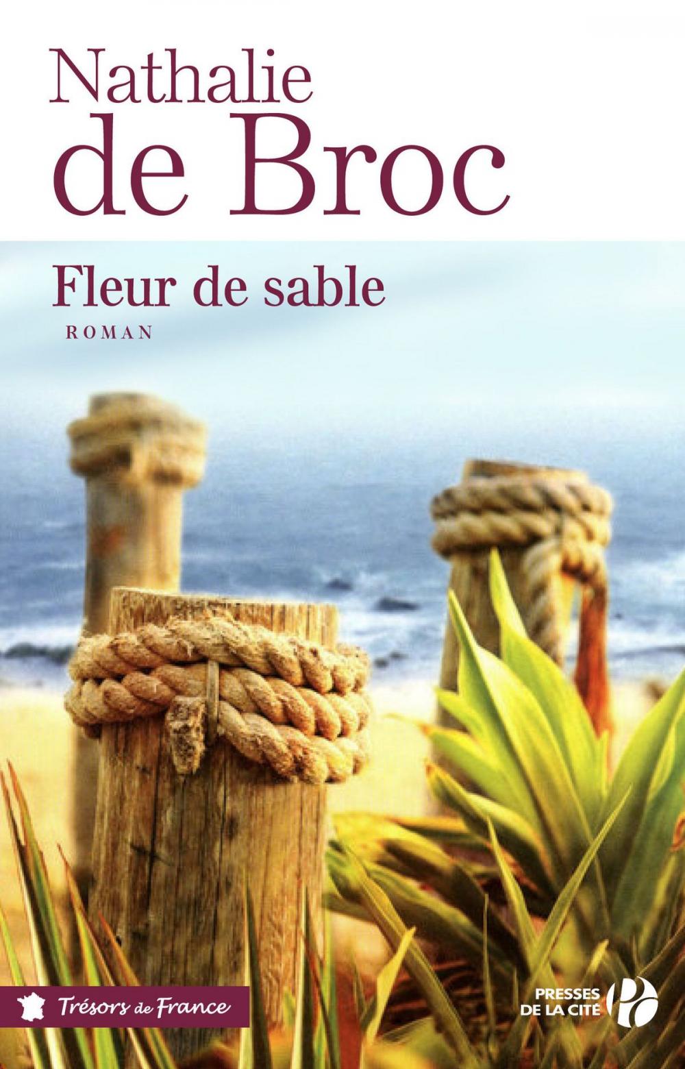 Big bigCover of Fleur de sable (TF)