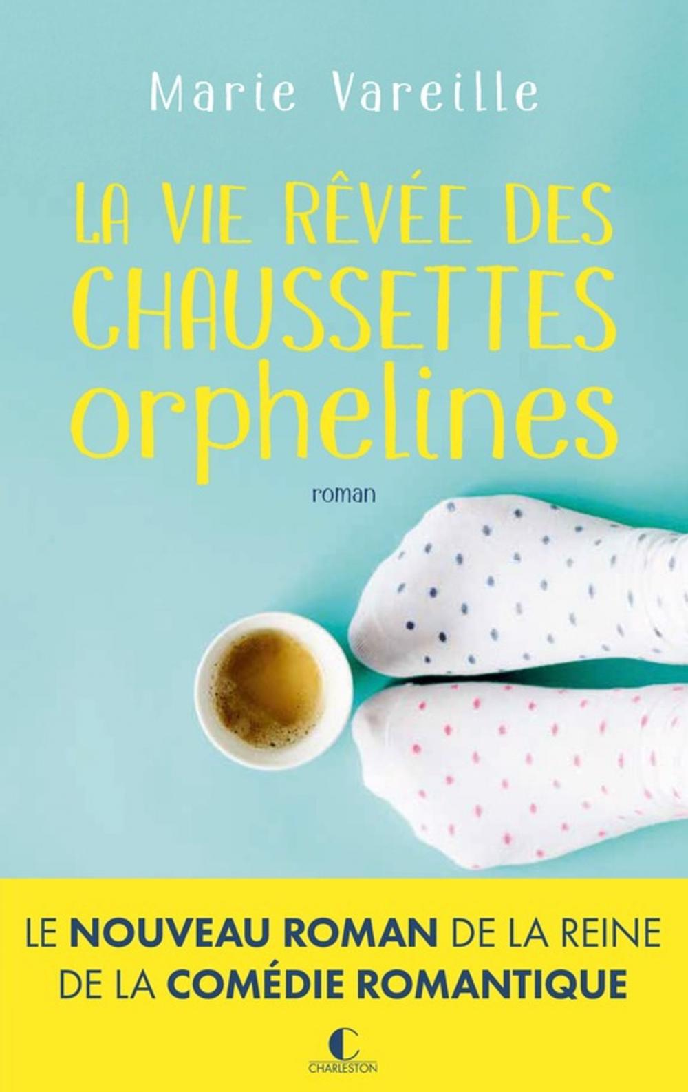 Big bigCover of La vie rêvée des chaussettes orphelines